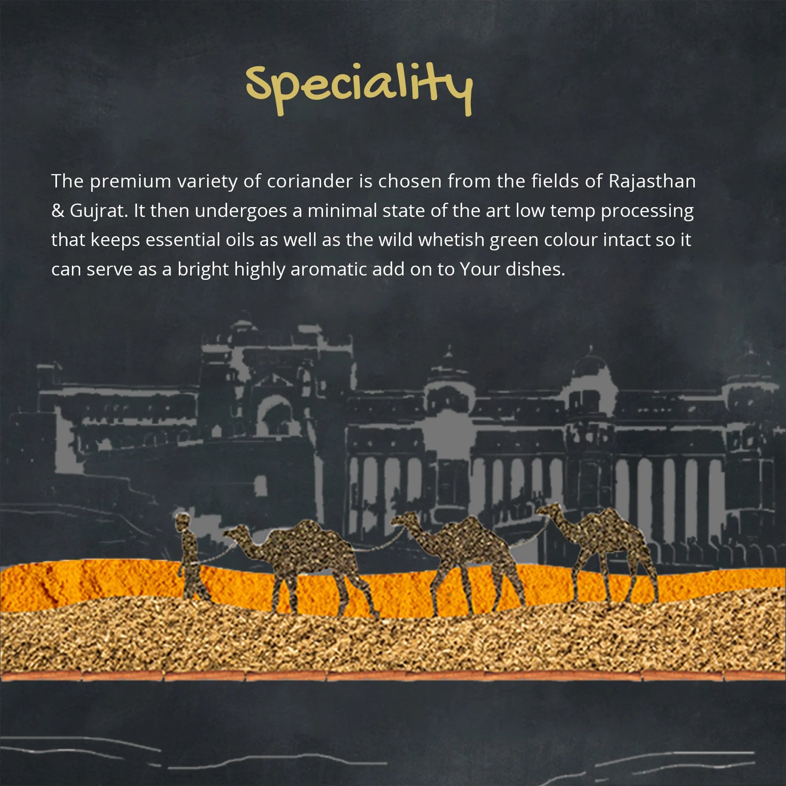 Orika Coriander Powder - Orika Spices India